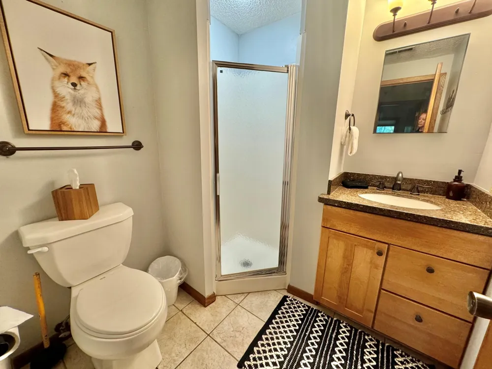 511 Moose Mountain Drive Tofte, MN 55615