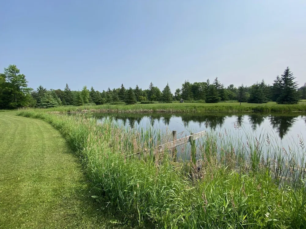 26055 Alvwood Road NE Blackduck, MN 56630
