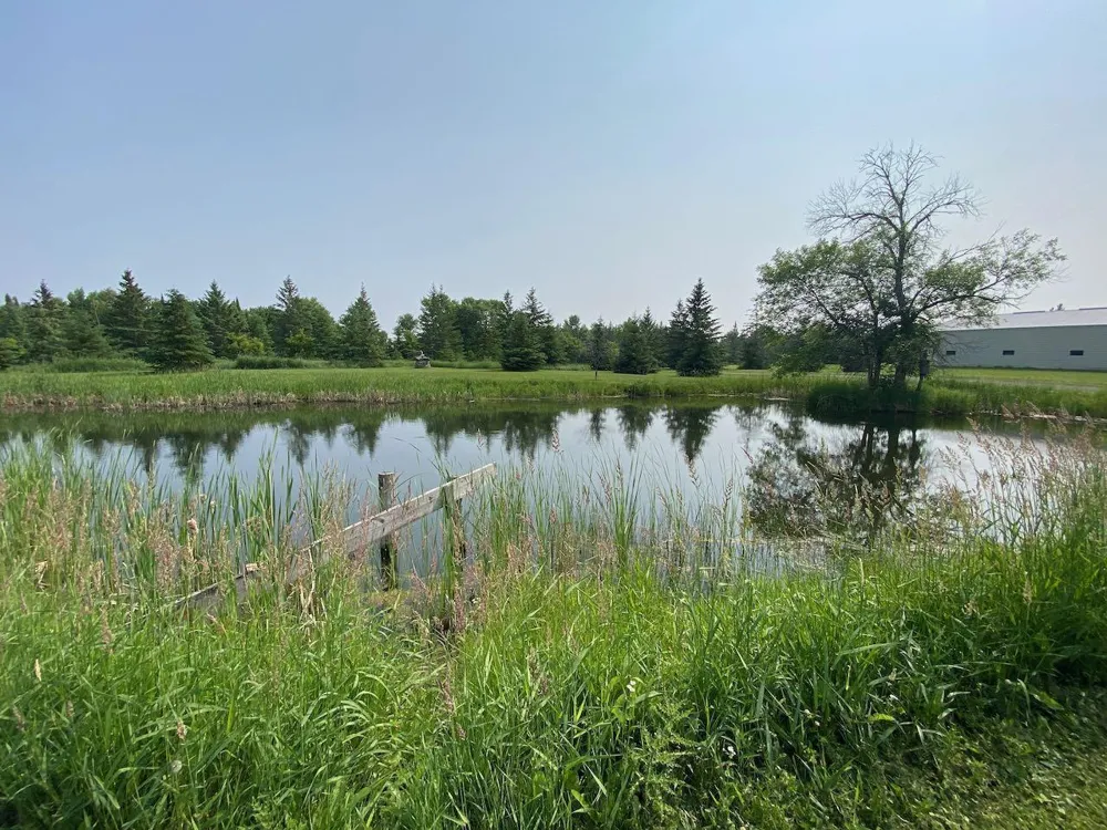 26055 Alvwood Road NE Blackduck, MN 56630