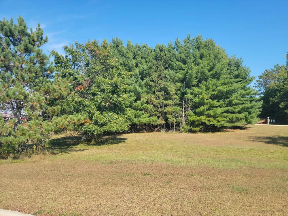 Lot 3 Charlotte St / Range Rd Boyceville, WI 54725