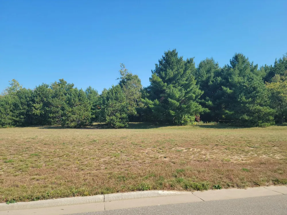 Lot 3 Charlotte St / Range Rd Boyceville, WI 54725