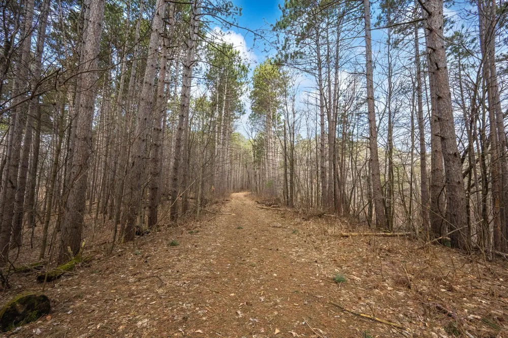 917 Sunrise Beach Drive Amery, WI 54001
