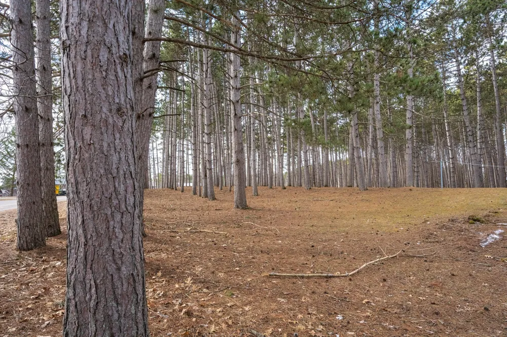 917 Sunrise Beach Drive Amery, WI 54001