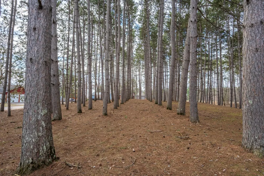 917 Sunrise Beach Drive Amery, WI 54001
