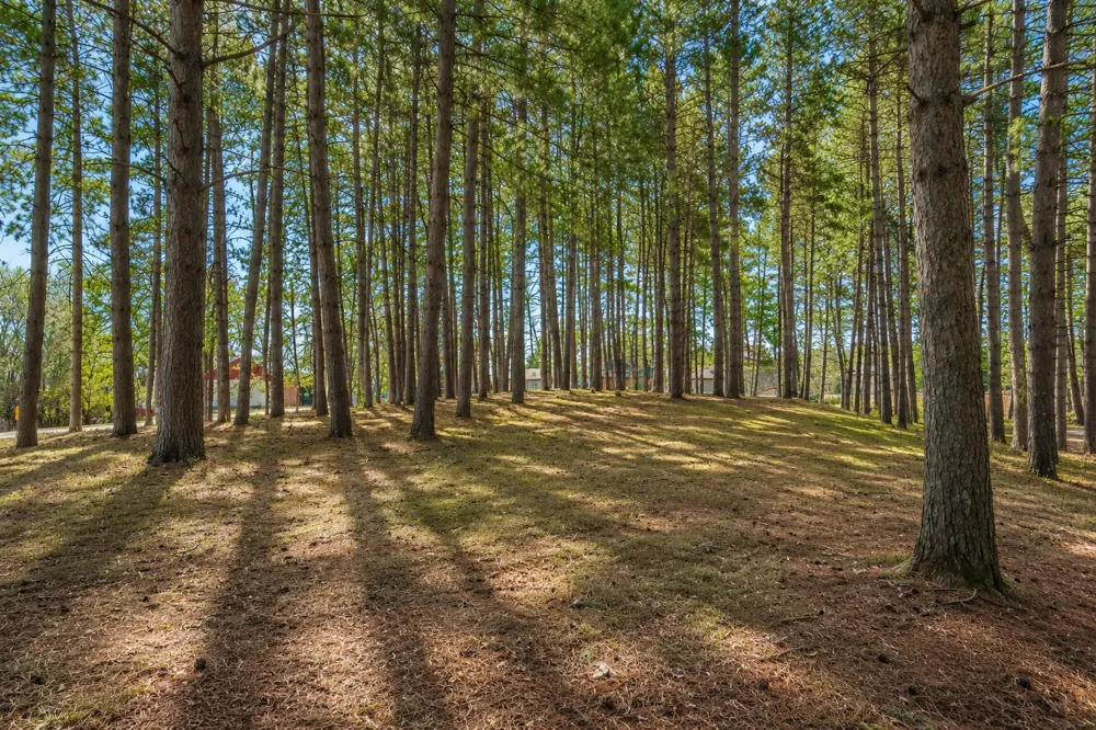 917 Sunrise Beach Drive Amery, WI 54001