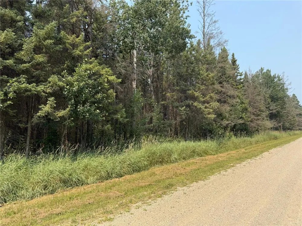 TBD 40 Acres Sunflower Kelliher, MN 56650