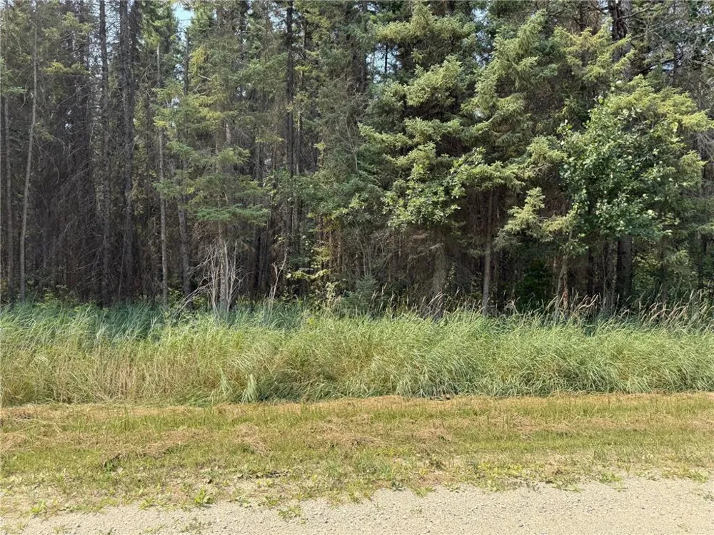 TBD 40 Acres Sunflower Kelliher, MN 56650
