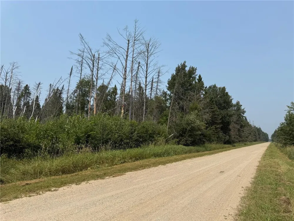 TBD 40 Acres Sunflower Kelliher, MN 56650