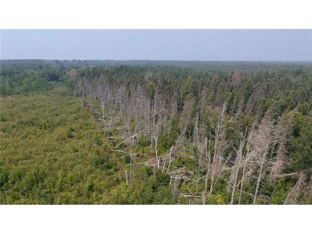 TBD 40 Acres Sunflower Kelliher, MN 56650
