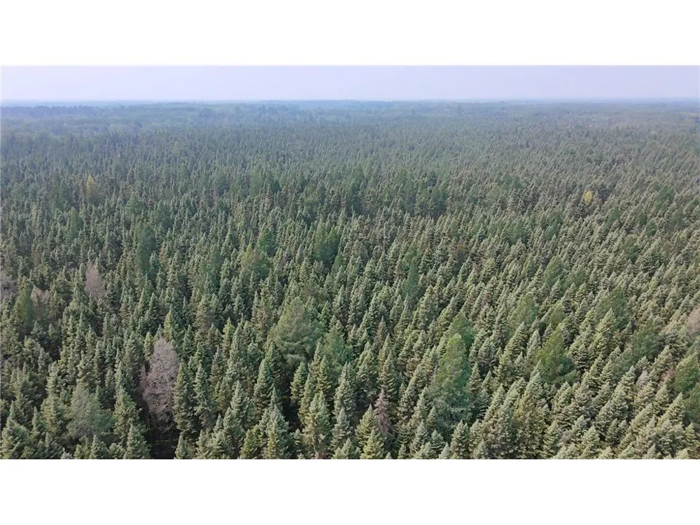 TBD 40 Acres Sunflower Kelliher, MN 56650