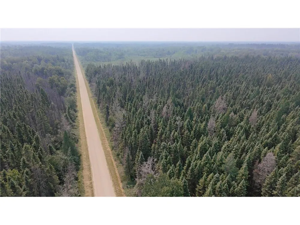 TBD 40 Acres Sunflower Kelliher, MN 56650
