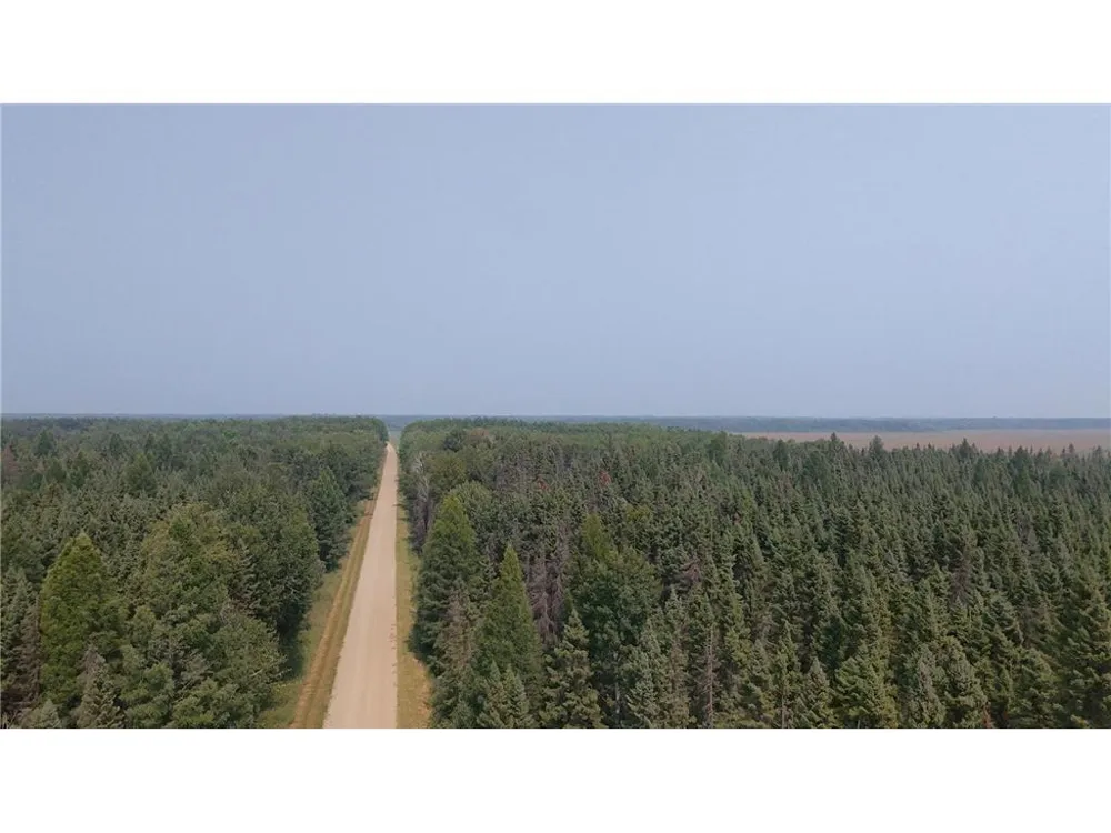 TBD 40 Acres Sunflower Kelliher, MN 56650