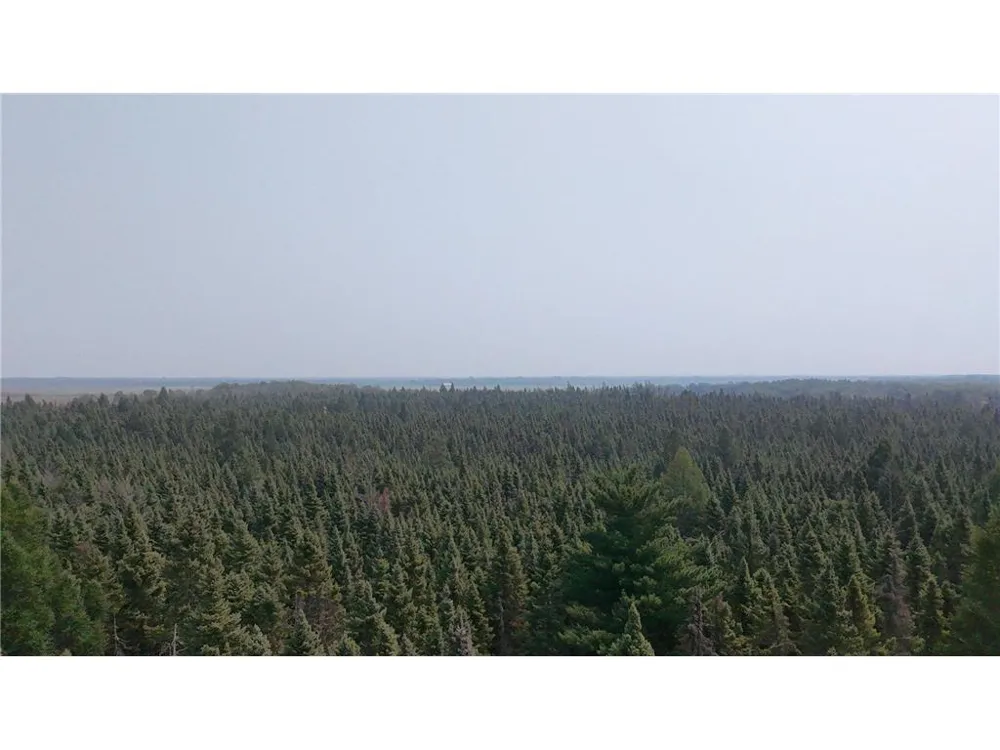 TBD 40 Acres Sunflower Kelliher, MN 56650