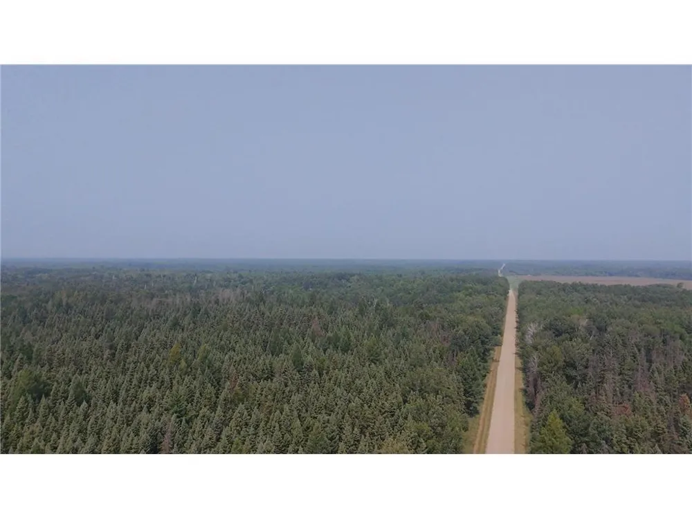 TBD 40 Acres Sunflower Kelliher, MN 56650