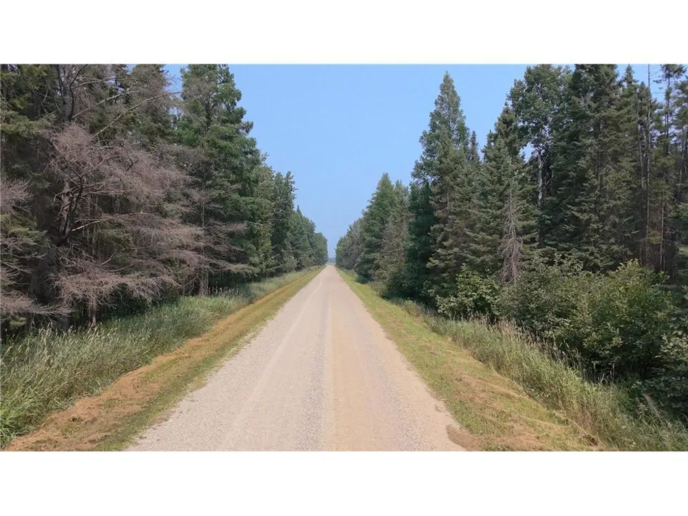 TBD 40 Acres Sunflower Kelliher, MN 56650