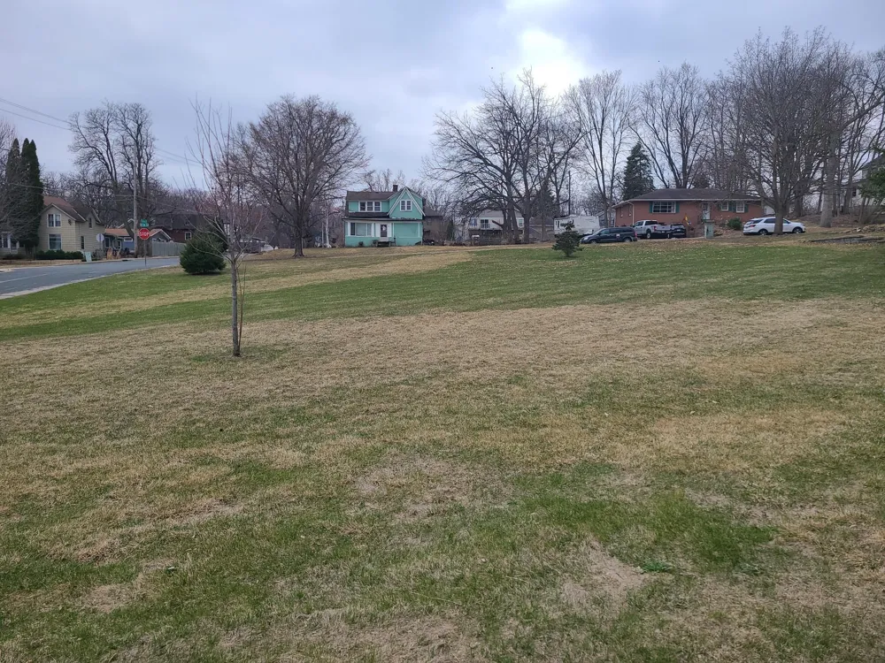 4XX Spring Street Hastings, MN 55033