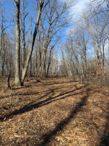 TBD Woodchuck Trail