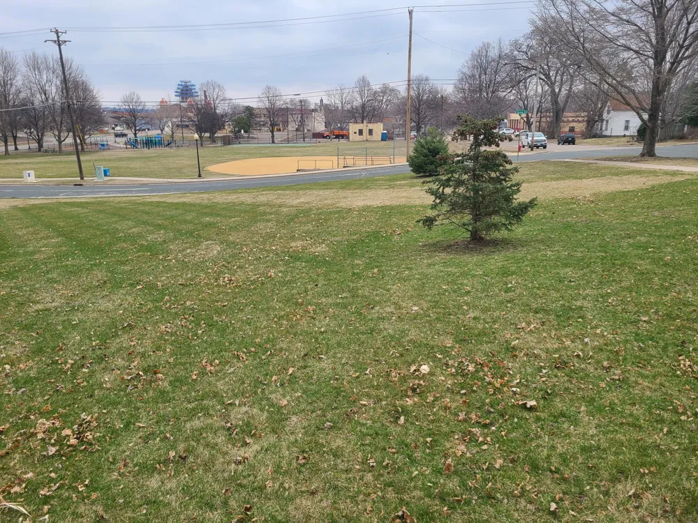 306 5th Street W Hastings, MN 55033