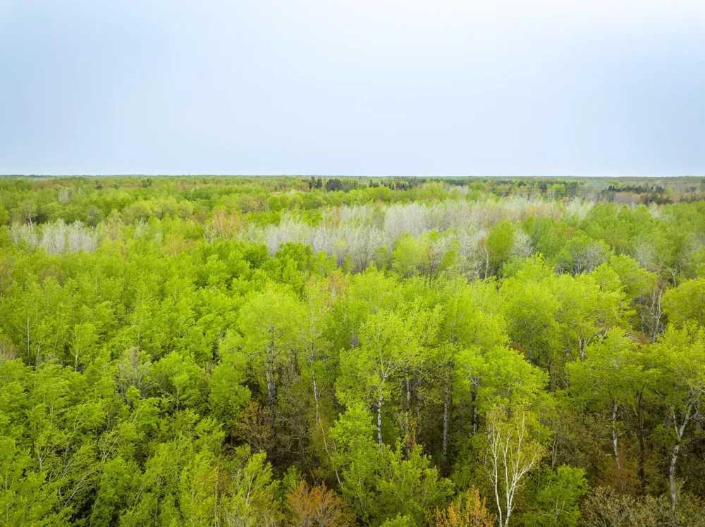1909 County Hwy 61 Sandstone, MN 55072