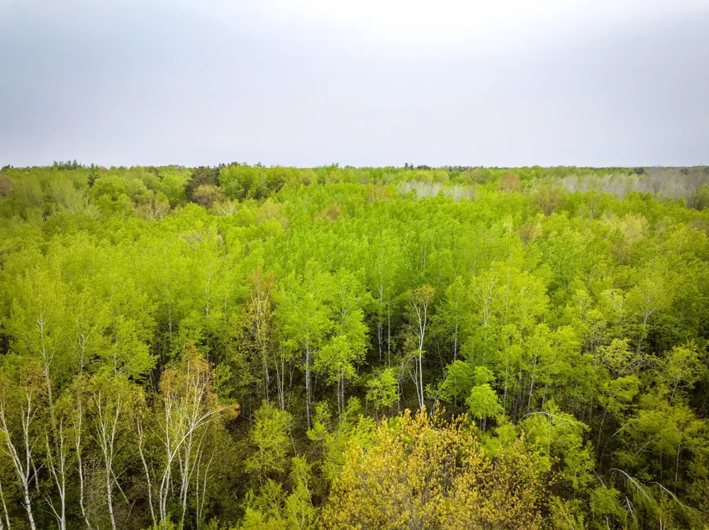 1909 County Hwy 61 Sandstone, MN 55072