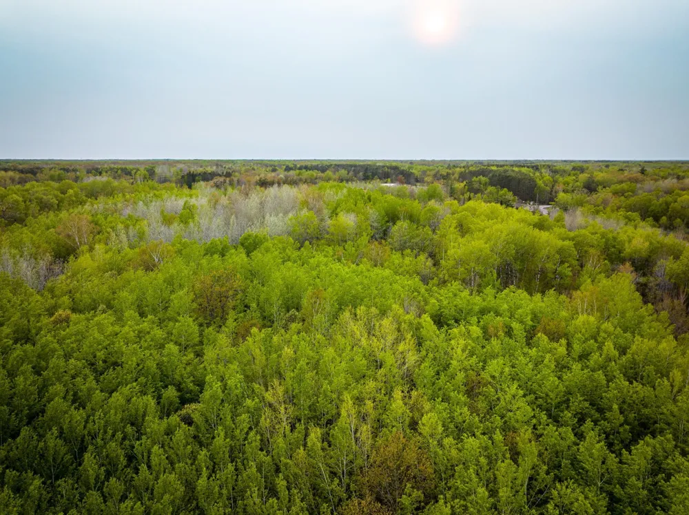 1909 County Hwy 61 Sandstone, MN 55072