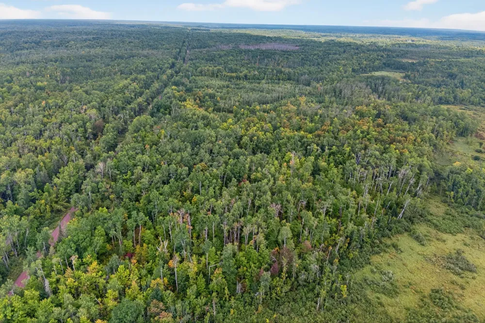 64838 Kingsdale Road Sandstone, MN 55072