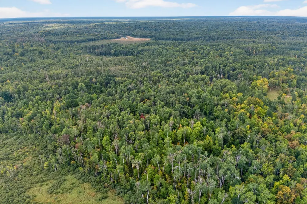 64838 Kingsdale Road Sandstone, MN 55072
