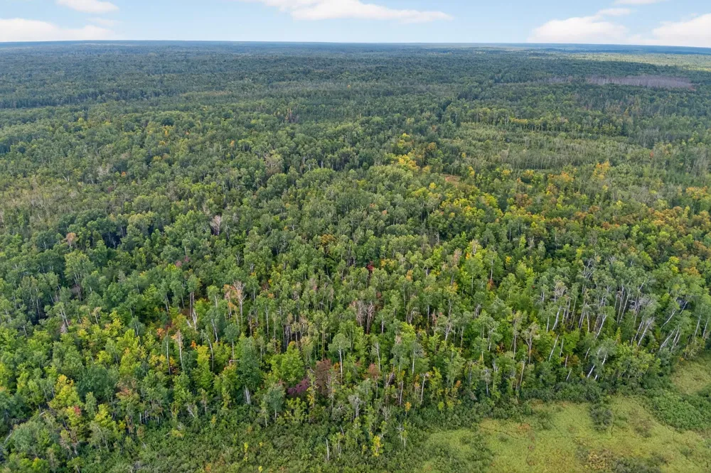 64838 Kingsdale Road Sandstone, MN 55072