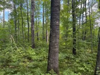 64838 Kingsdale Road Sandstone, MN 55072