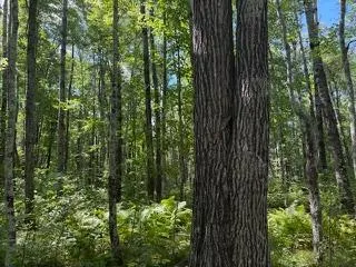 64838 Kingsdale Road Sandstone, MN 55072