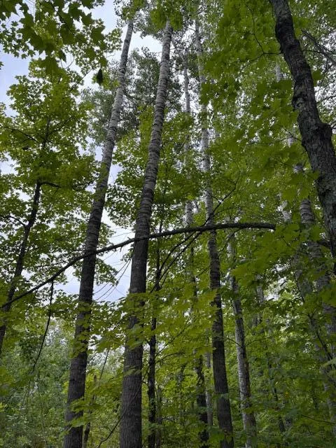 64838 Kingsdale Road Sandstone, MN 55072