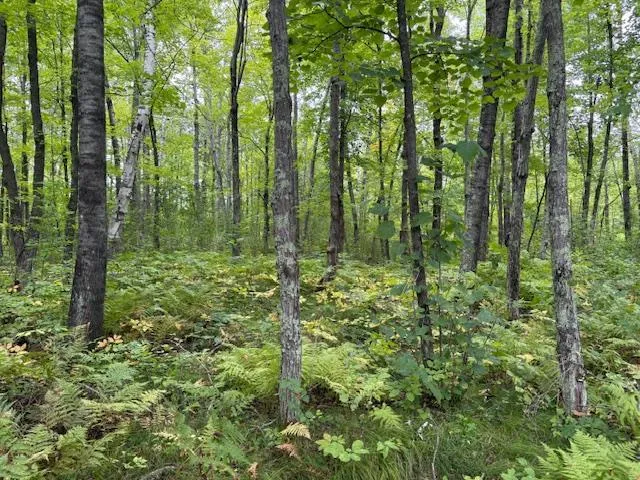 64838 Kingsdale Road Sandstone, MN 55072