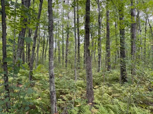 64838 Kingsdale Road Sandstone, MN 55072