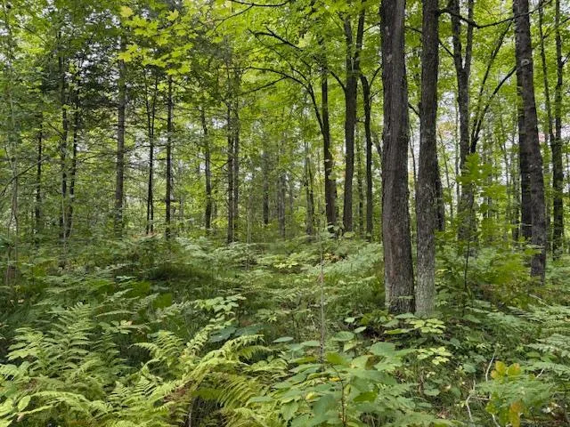 64838 Kingsdale Road Sandstone, MN 55072