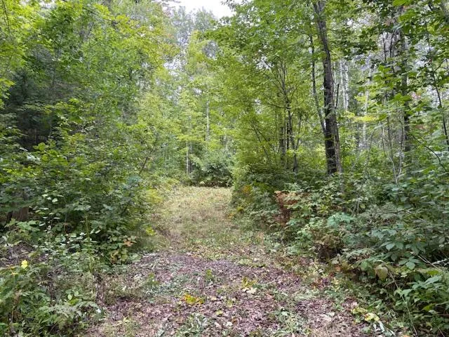 64838 Kingsdale Road Sandstone, MN 55072