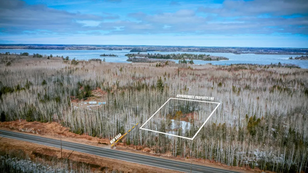 Parcel 12 TBD Hwy 115 Tower, MN 55790