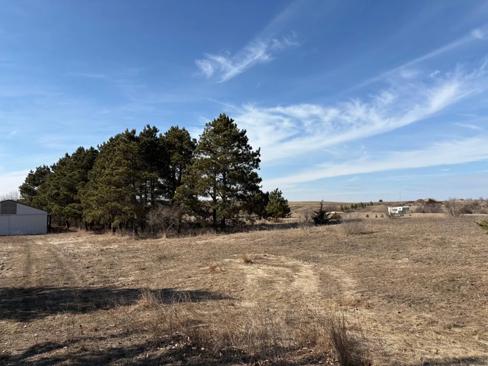 TBD Cty 9 Pelican Rapids, MN 56572