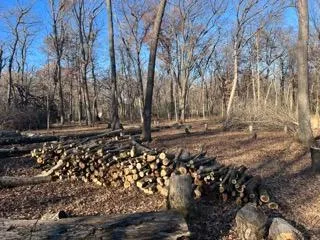 12216 Arcola Trail Stillwater, MN 55082