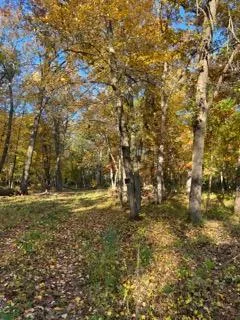 12216 Arcola Trail Stillwater, MN 55082