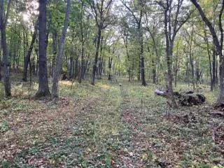 12216 Arcola Trail Stillwater, MN 55082