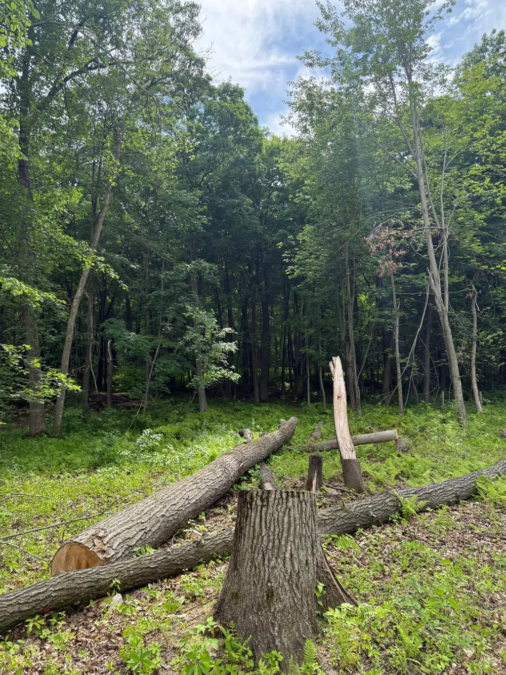 12216 Arcola Trail Stillwater, MN 55082