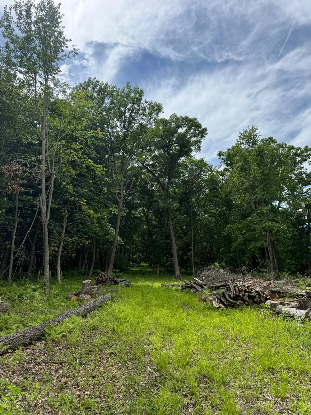 12216 Arcola Trail Stillwater, MN 55082