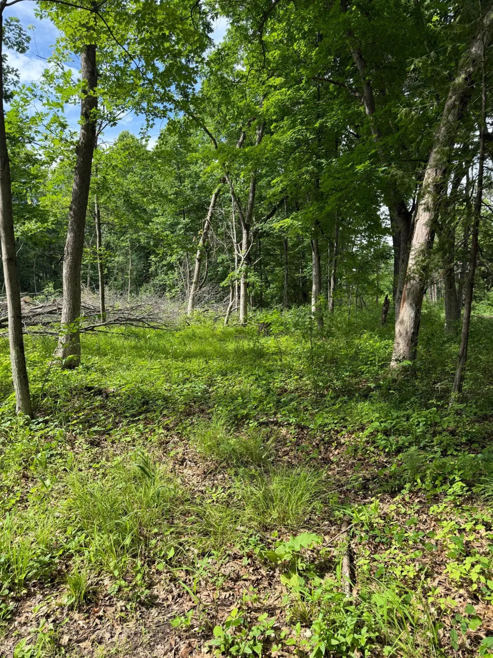 12216 Arcola Trail Stillwater, MN 55082