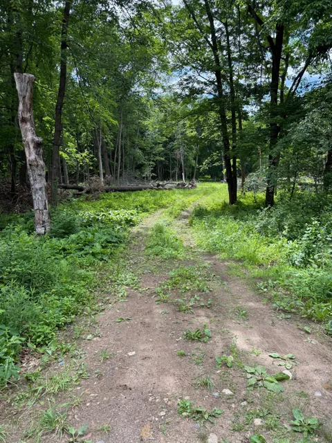 12216 Arcola Trail
