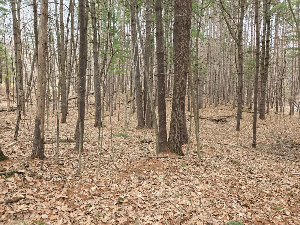 Lot 3 732nd Avenue Menomonie, WI 54751