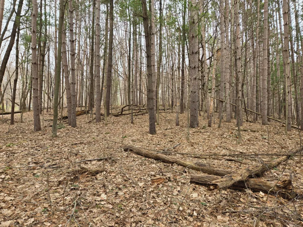 Lot 3 732nd Avenue Menomonie, WI 54751