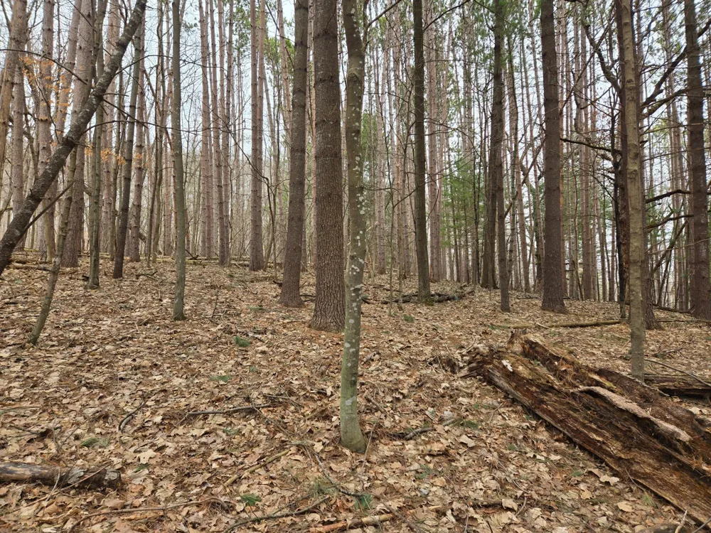 Lot 3 732nd Avenue Menomonie, WI 54751