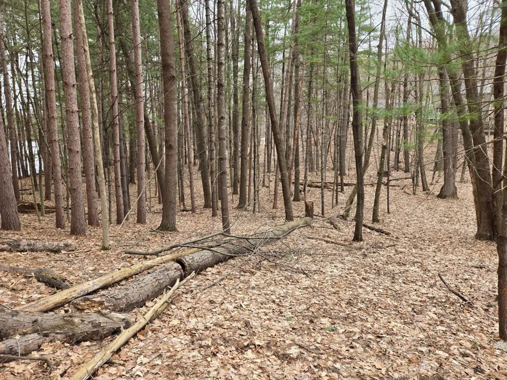 Lot 3 732nd Avenue Menomonie, WI 54751