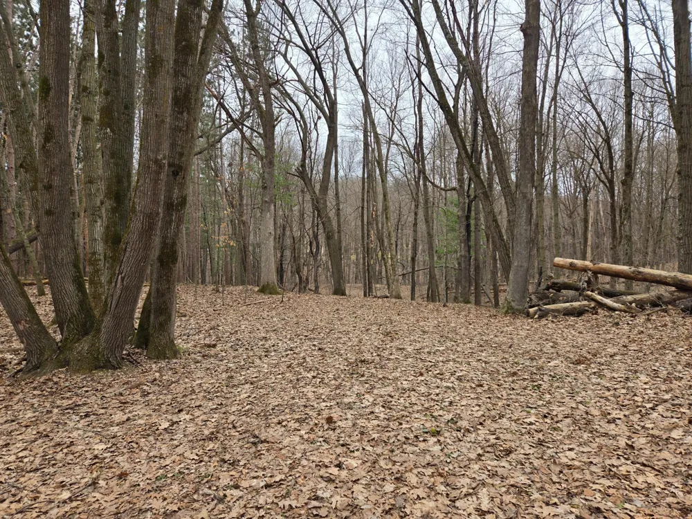 Lot 3 732nd Avenue Menomonie, WI 54751