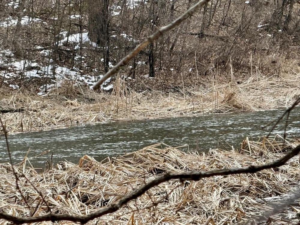 TBD Basswood Drive Sauk Centre, MN 56378